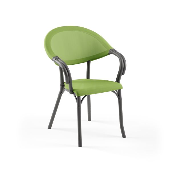 Antrasit Gövde Yeşil Fileli Bahçe Sandalyesi