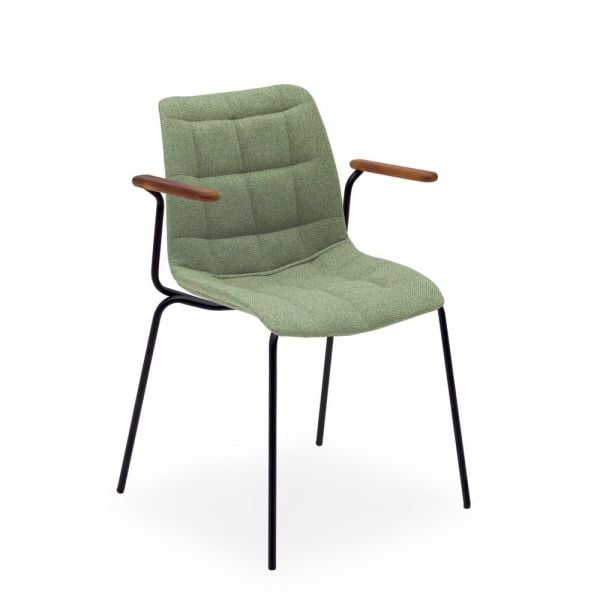 Siyah Metalik ve Yeşil Kumaş Kollu Sandalye: Doğanın Zarafeti ile Modern Tasarımın Buluşması!